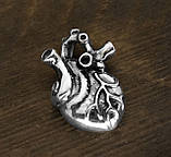 Кулон срібний Анатомічне Серце, фото 3