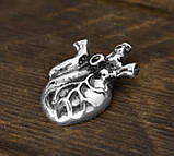 Кулон срібний Анатомічне Серце, фото 4