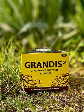 Грандіс 100гр укорінювач, фото 1