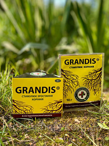 Грандіс 100гр укорінювач, фото 2