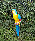 Садова фігура Попуга в кільці блакитний метал+кераміка 59 см, фото 3