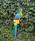 Садова фігура Попуга в кільці блакитний метал+кераміка 59 см, фото 4