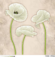 Тендітні білі маки ТК-060 Барвиста Вишиванка Заготовка для вишивки картини 58x58см