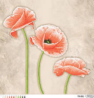 Тендітні персикові маки ТК-061 Барвиста Вишиванка Заготовка для вишивки картини 58x58см