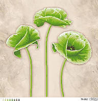 Тендітні зелені маки ТК-062 Барвиста Вишиванка Заготовка для вишивки картини 58x58см