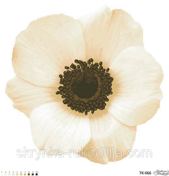 Схема Загадкова анемона (бежева) ТК066 на тканині для вишивання картина (Барвиста Вишиванка)
