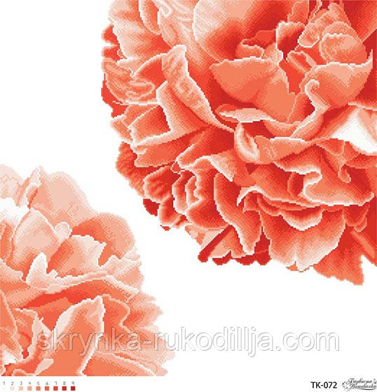 Схема Розкішні персикові півонії ТК072 на тканині для вишивання картина (Барвиста Вишиванка)