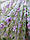 Тюль-органза білого кольору з бузковими квітами (2.2м), фото 7