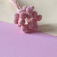 Краспедия сухоцвет нежно - розовая 20 шт