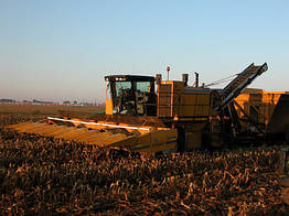 Кукурудзозбиральний комбайн Oxbo 8430