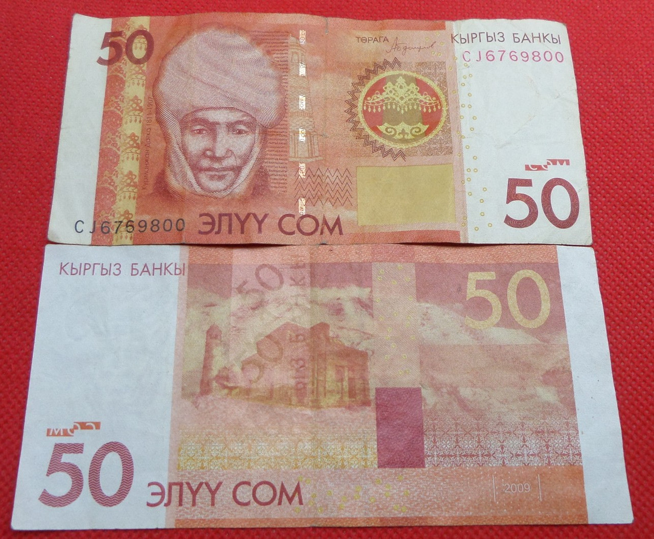 Киргезія 50 см 2016 рік No762, фото 1
