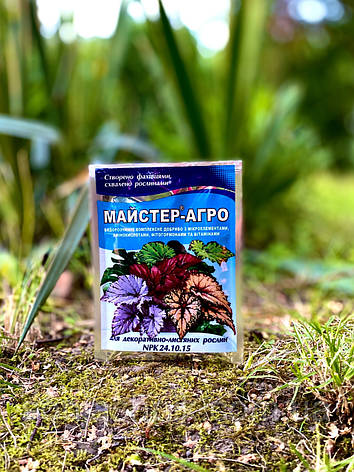 Майстер Агро 25г для Декоративно-листяних, фото 1