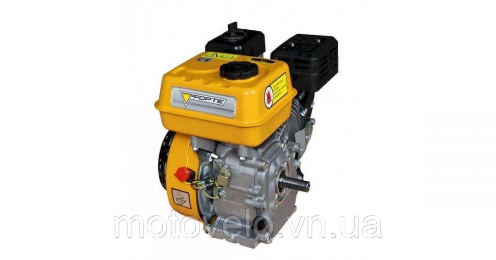 Бензиновий двигун Forte F210G