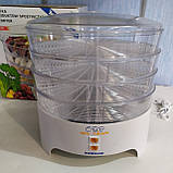 Нова якісна європейська сушка для овочів, фруктів Niewiadow 970.01 PS з Європи з гарантією, фото 2