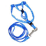 Шлейка з повідцем Supretto регульована 108 см, фото 3