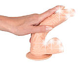 Реалістичний фалоімітатор з присоскою European Lover Medium, фото 7