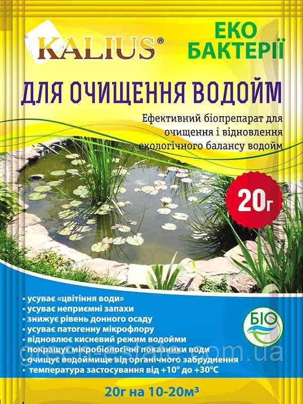 Біопрепарат для очищення водойм Калиус 20 г