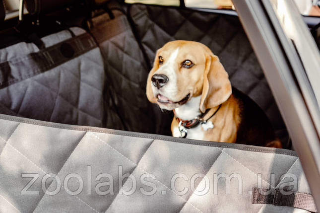 Автогамак для собак в машину Saver Harley and Cho, фото 3