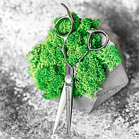 Ножиці для стрижки Sway Infinite прямі