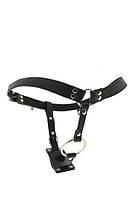 Стринги чоловічі з кільцем BLAZE STRING WITH PENIS RING