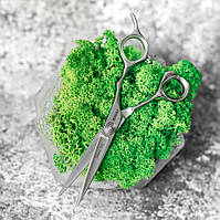 Ножиці для стрижки Sway Japanese Saku прямі