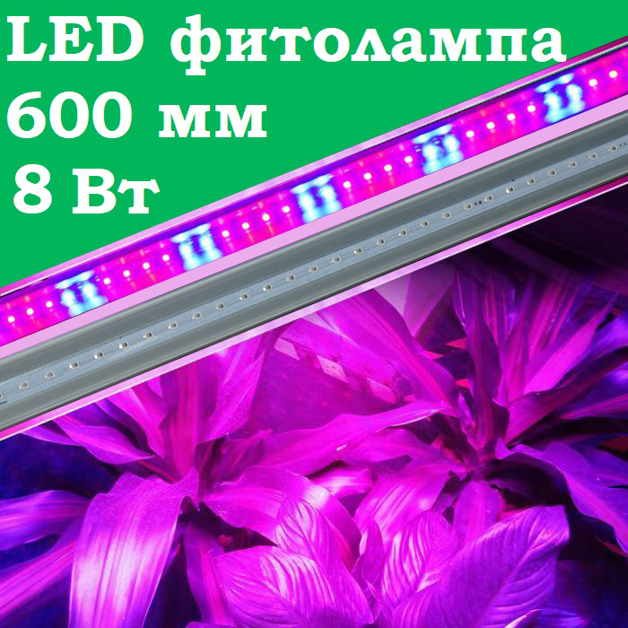 LED-фітолампа 600 мм 8 Вт T8-2835-0.6F R:B=4:2 світлодіодна лампа синьо-червона для рослин