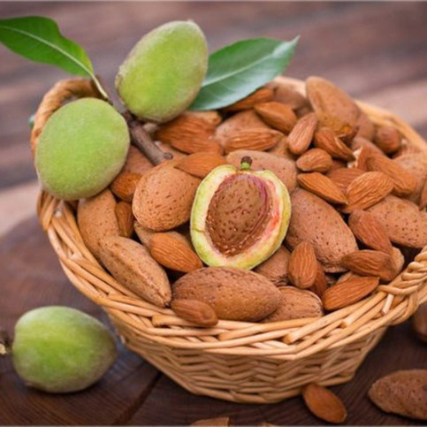 Саджанці Мигдалю Задоволення - середнього терміну, солодкий, дводомний, фото 1