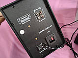 Акустична система із сабвуфером Bluetooth Ailiang F34DC 16 W, активна акустика великі колонки для комп'ютера, фото 7