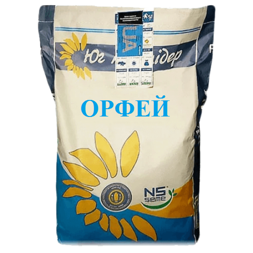 Насіння соняшника гібрид НС ОРФЕЙ