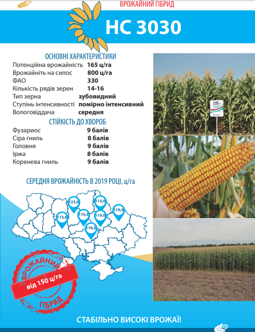 Насіння кукурудзи НС 3030 (ФАО 330)