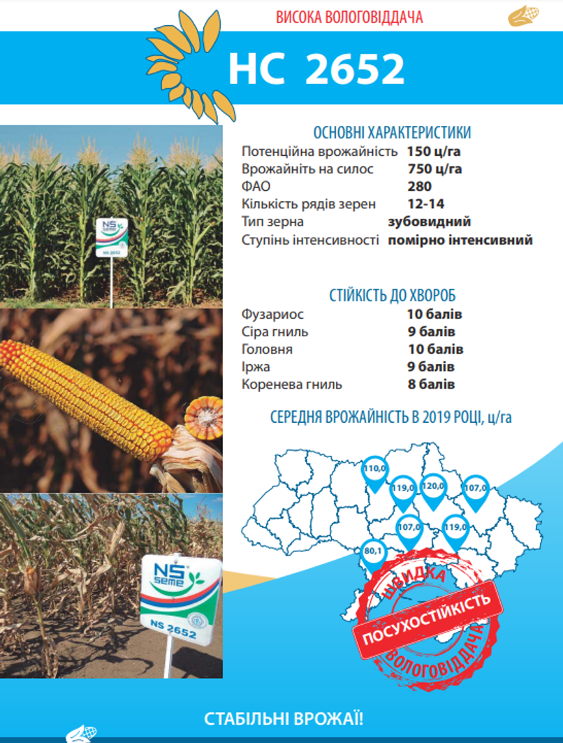 Насіння кукурудзи НС 2652
