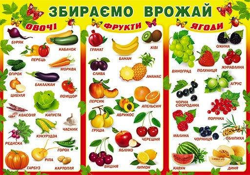 НП Плакат (школа) "Світ Поздоровлень А2"/збираємо врожай, фото 1