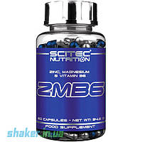 Цинк магний + Б6 Scitec Nutrition ZMB6 (60 капс) скайтек