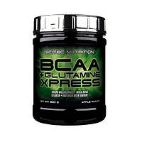 БЦАА Scitec Nutrition BCAA + Glutamine Xpress (300 г) скайтек экспресс с глютамином long island