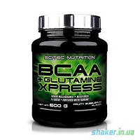 БЦАА Scitec Nutrition BCAA + Glutamine Xpress (600 г) скайтек экспресс с глютамином long island