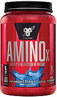 БЦАА BSN BCAA Amino X (1,01 кг) бсн амино икс х blue raz