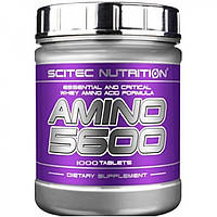 Комплекс аминокислот Scitec Nutrition Amino 5600 (1000 таб) скайтек амино