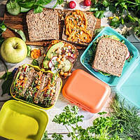 Ланч-бокси і контейнери