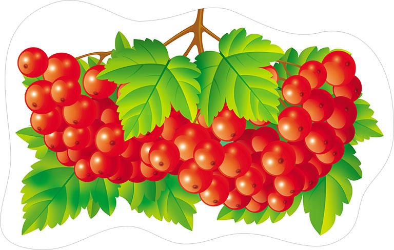 С. Пізн. 74,018 Елемент Калина