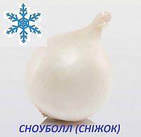Озимый лук севок Сноуболл (Snowball) 8/21 1кг/ TOP Onion Sets