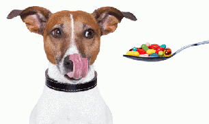 Вітаміни і добавки для собак