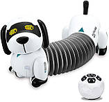 Робот-собака Іди за Таксою Robot Dog Follow the Dachshund, фото 7
