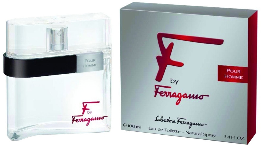 Salvatore Ferragamo F by Ferragamo Pour Homme 100