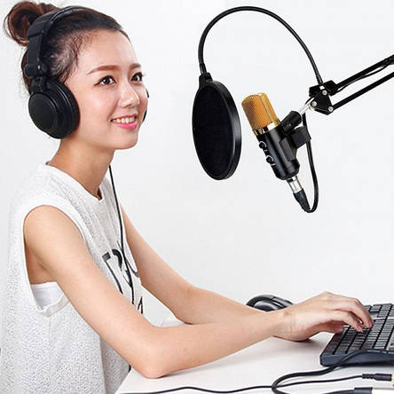 Конденсаторний студійний мікрофон M-800 U Pro-MIC для ПК зі стійкою і вітрозахистом Black-Gold (Справжні фото), фото 2