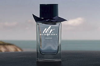 Burberry Mr. Burberry Indigo туалетна вода 100 ml. (Берберрі Містер Берберрі Індиго), фото 3