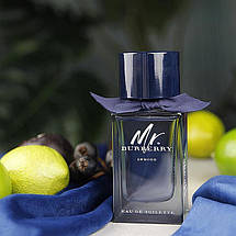 Burberry Mr. Burberry Indigo туалетна вода 100 ml. (Берберрі Містер Берберрі Індиго), фото 2
