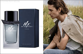 Burberry Mr. Burberry Indigo туалетна вода 100 ml. (Берберрі Містер Берберрі Індиго), фото 3