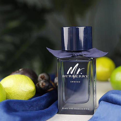 Burberry mr burberry indigo edt 100 ml hotsell