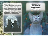 Коти вояки. Таємниці Кланів. Путівник по серії, фото 4
