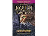 Коти-Вояки. ПОДАРУНКОВИЙ КОМПЛЕКТ з 6 книг. Цикл 1 "Пророцтва почитаються"
Картонна коробка +  котомагніти в, фото 5